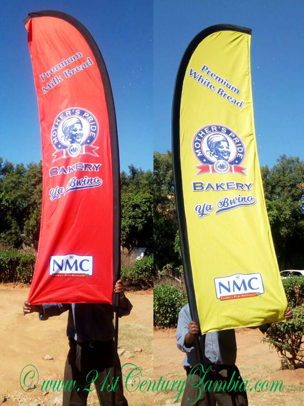 Windcheater Flags (2-4m)